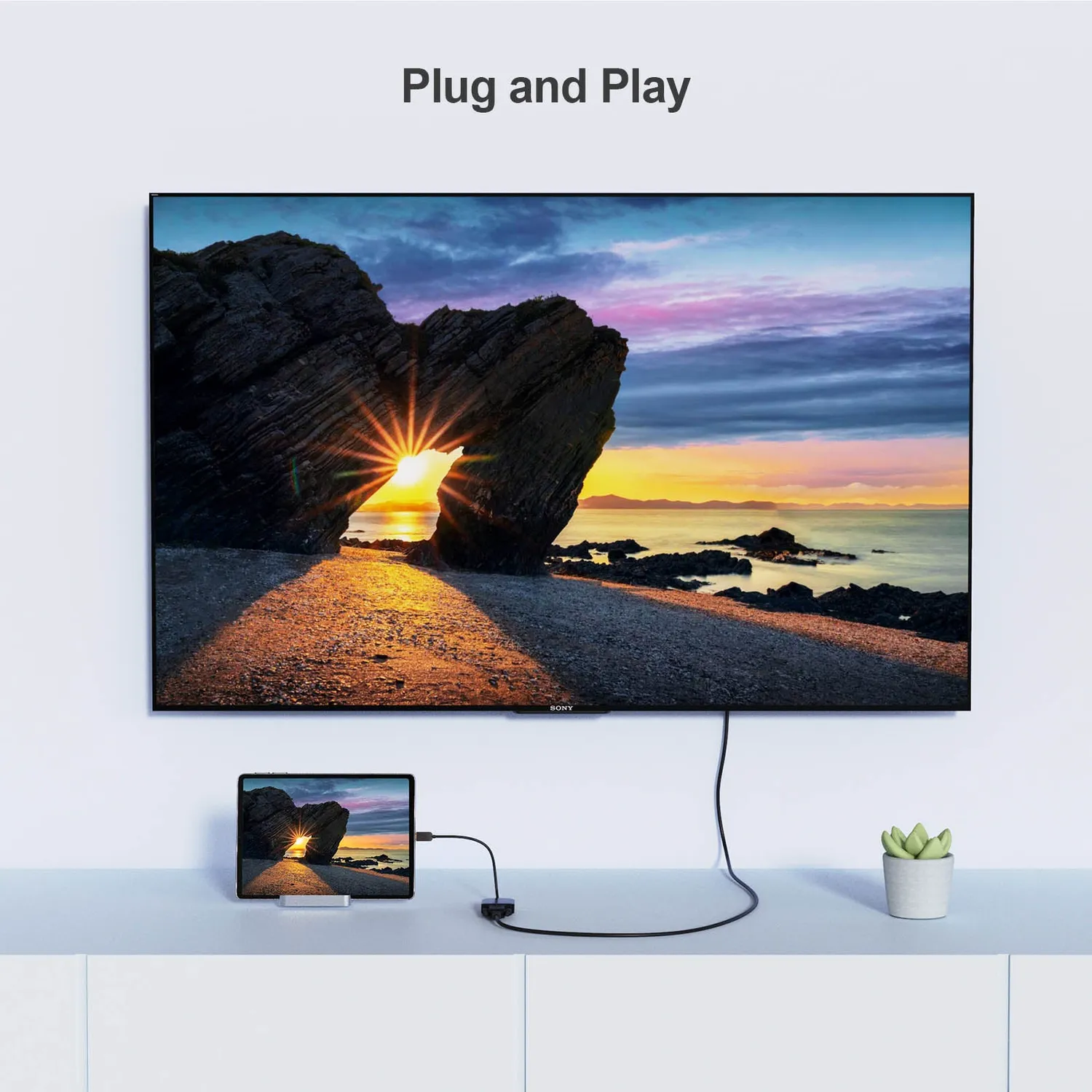 CableCreation USB-C DVI Adapter 1080p zwart