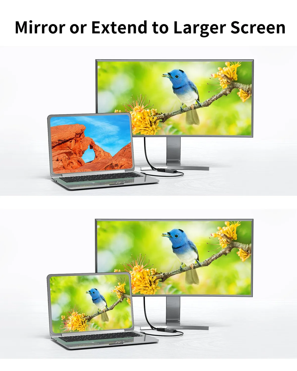 CableCreation HDMI naar DVI adapter bidirectioneel
